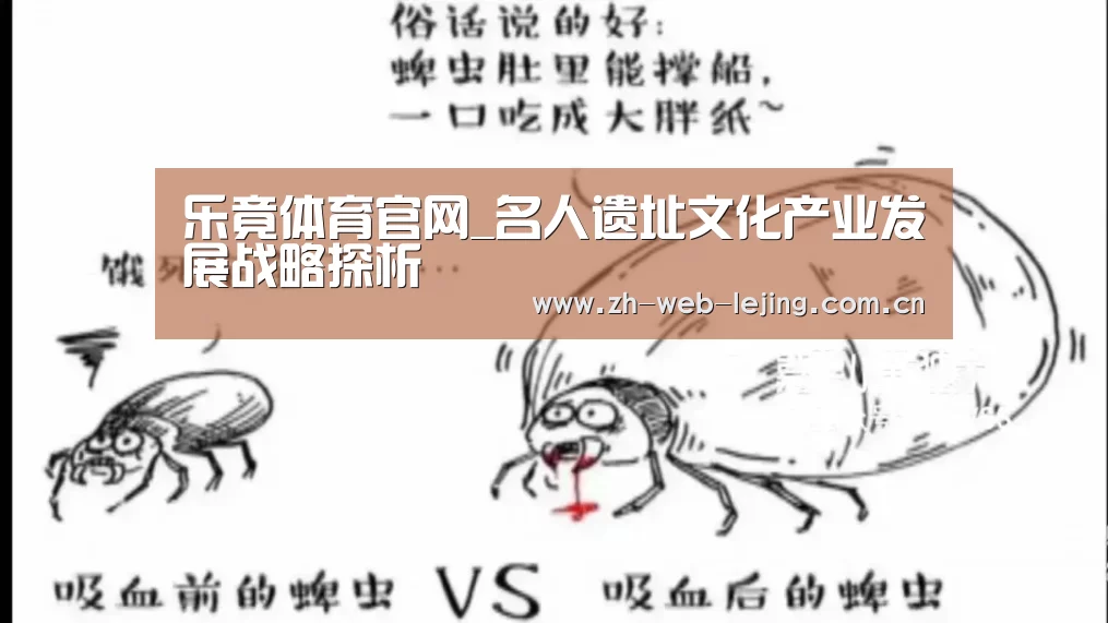 乐竟体育平台官网