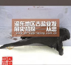 渝东地区古盐业发展史初探——从忠县◇井沟发现原始制盐工具说起“乐竟体育平台官网”(图3) 乐竟体育官网