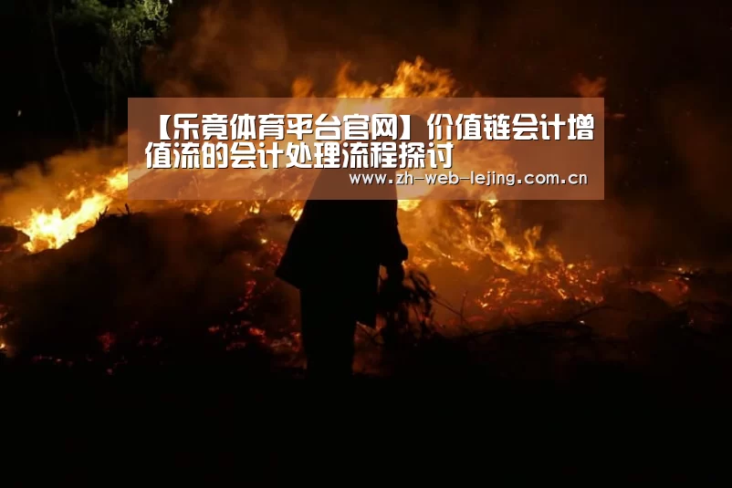 【乐竟体育平台官网】价值链会计增值流的会