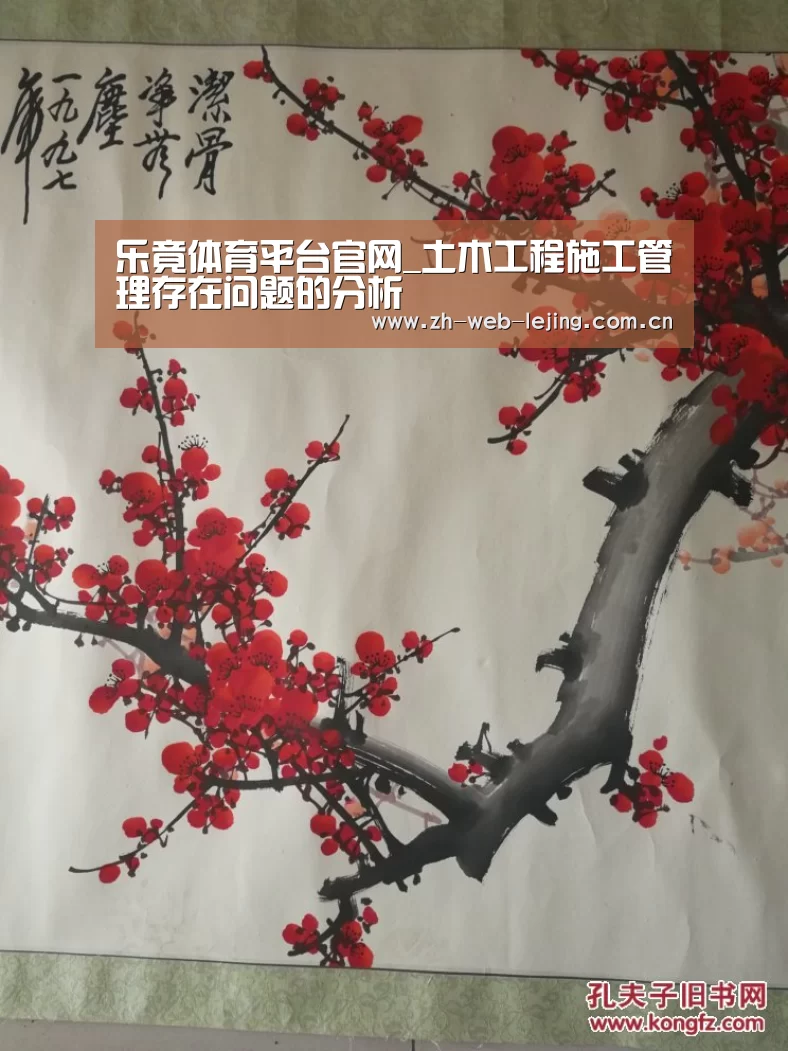 乐竟体育官网
