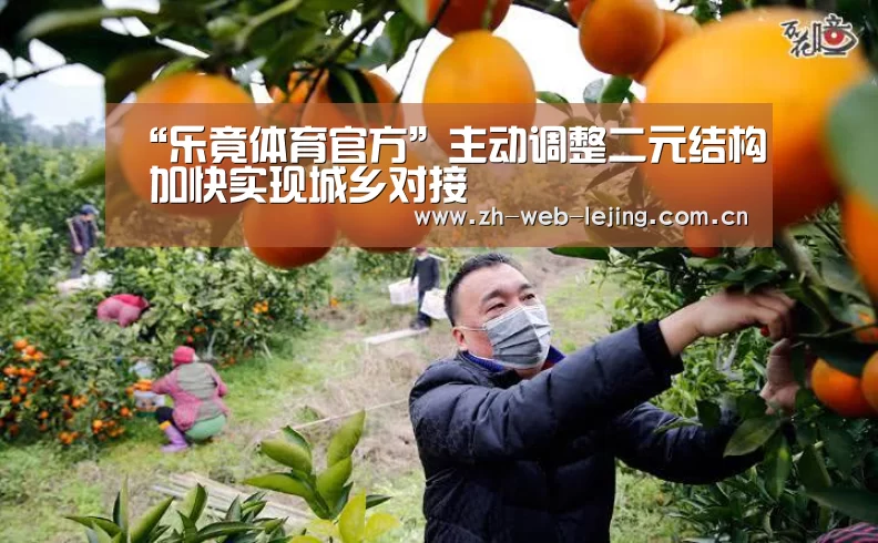 乐竟体育平台官网